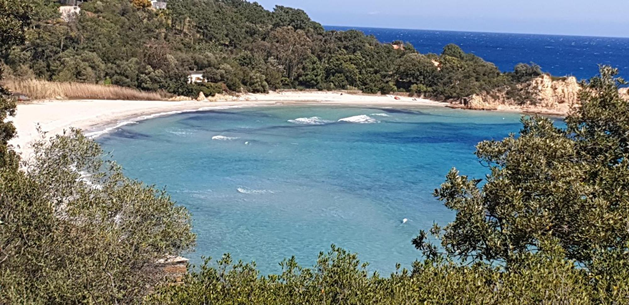 Auberge De Cannedda Sari-Solenzara Bilik gambar