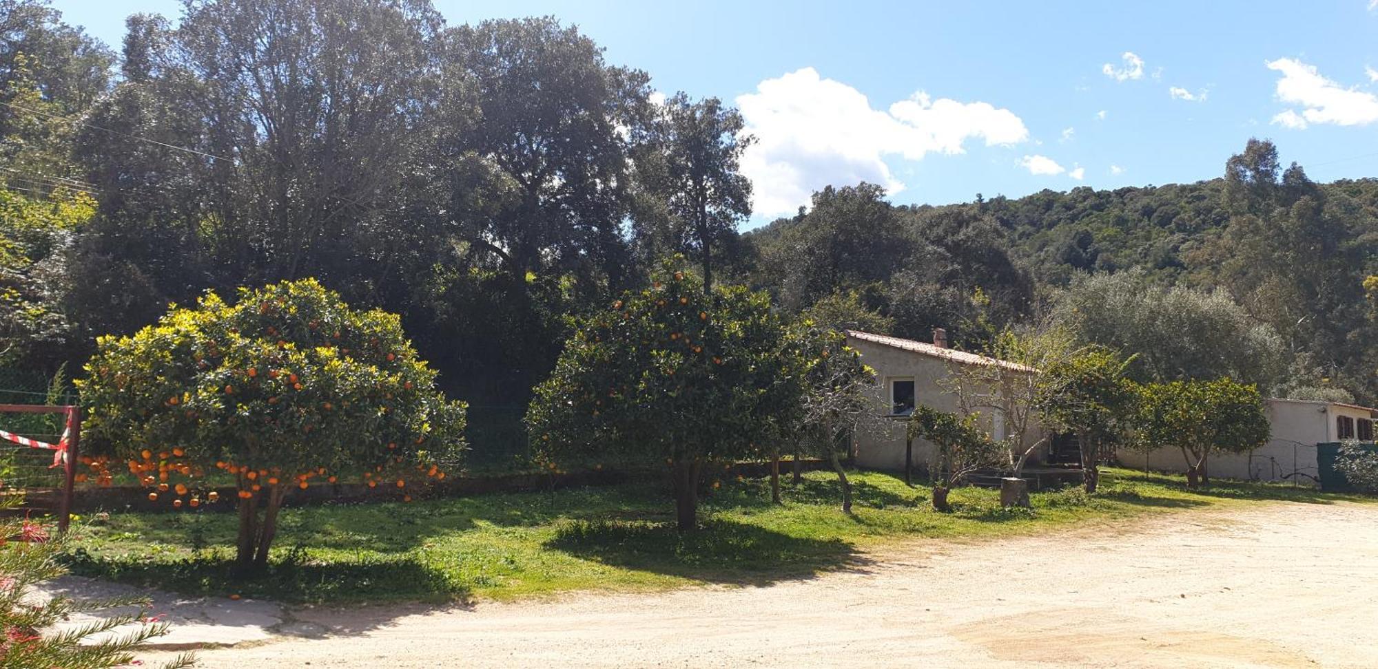 Auberge De Cannedda Sari-Solenzara Bilik gambar